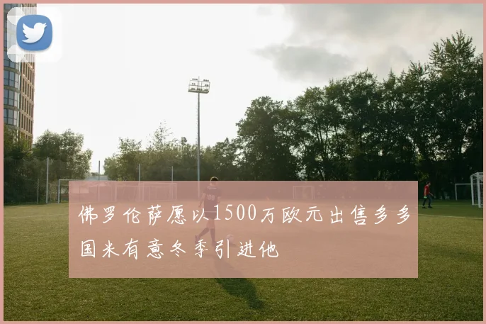 佛罗伦萨愿以1500万欧元出售多多国米有意冬季引进他