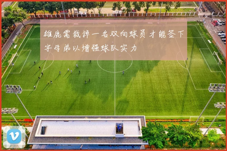 雄鹿需裁掉一名双向球员才能签下字母弟以增强球队实力